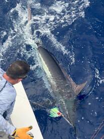 Kailua-Kona Report Photo 2