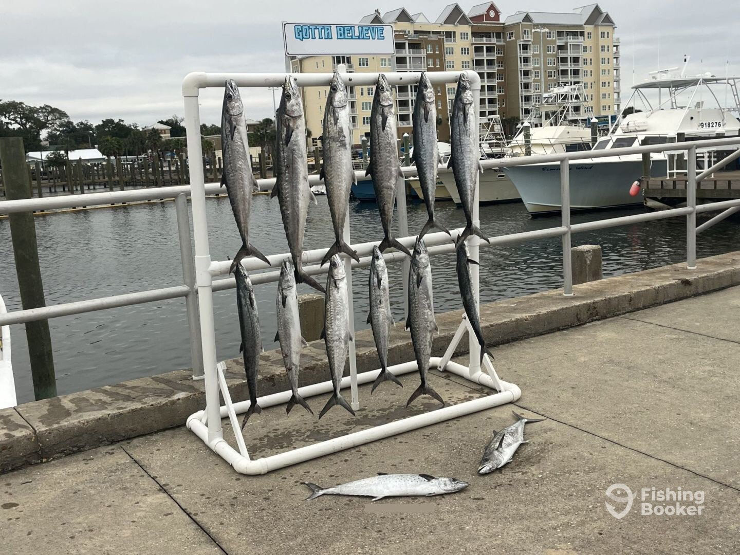 Panama City Beach Report Photo 0