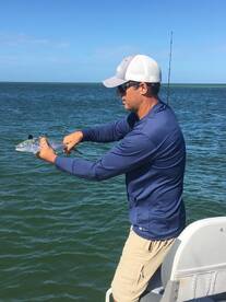 Sarasota Report Photo 2