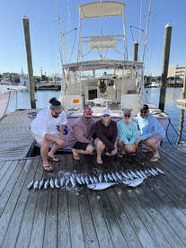 New Hanover County Report Photo 4