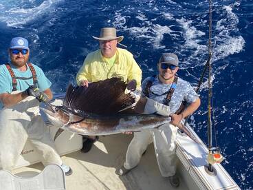 New Hanover County Report Photo 2