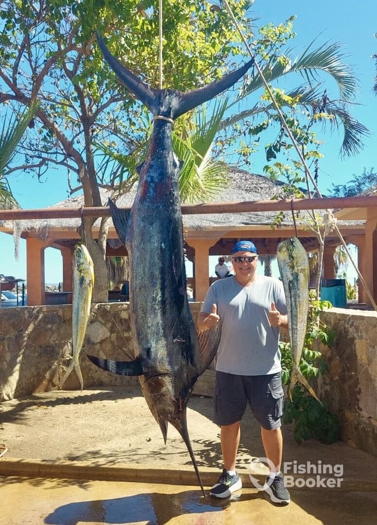 San Jose del Cabo Report Photo 0