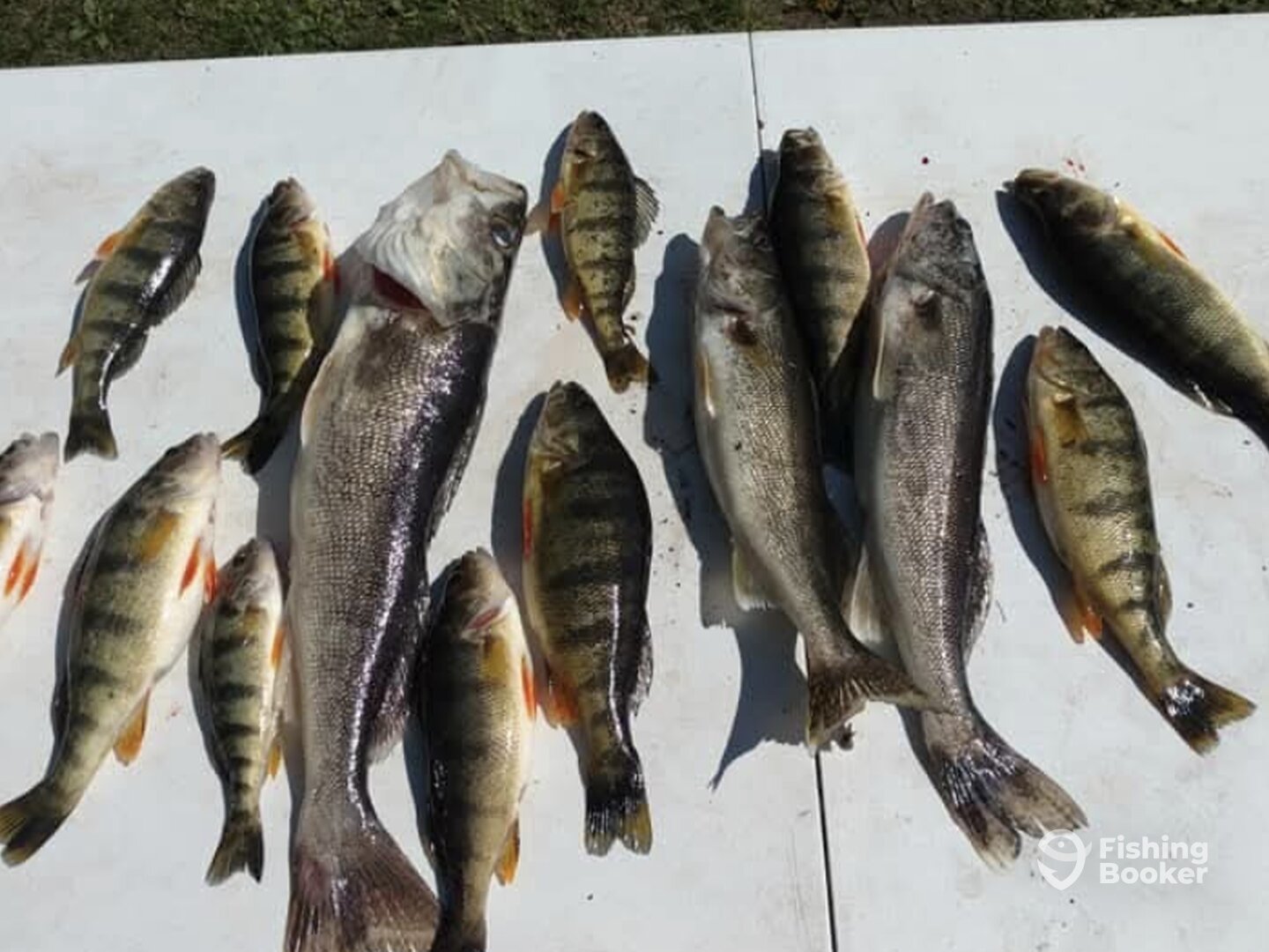 Richland Report Photo 0