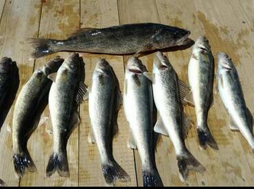 Oswego County Report Photo 1