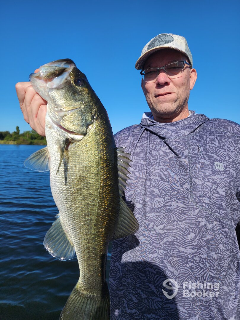 Orlando Report Photo 0