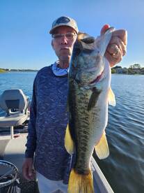 Orlando Report Photo 1