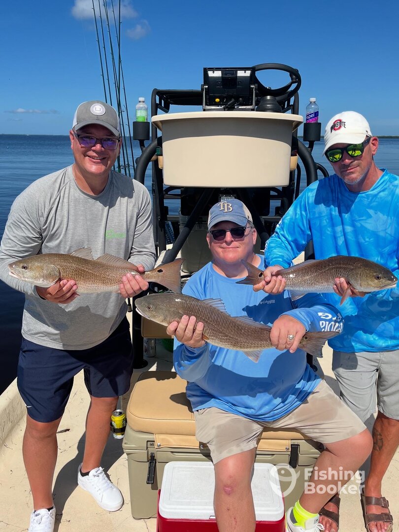 Punta Gorda Report Photo 0