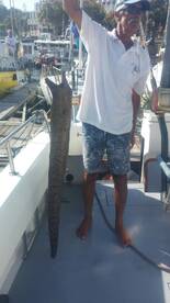 Funchal Report Photo 2