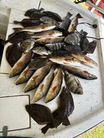 The Fall Bite Is In Full Swing!!!