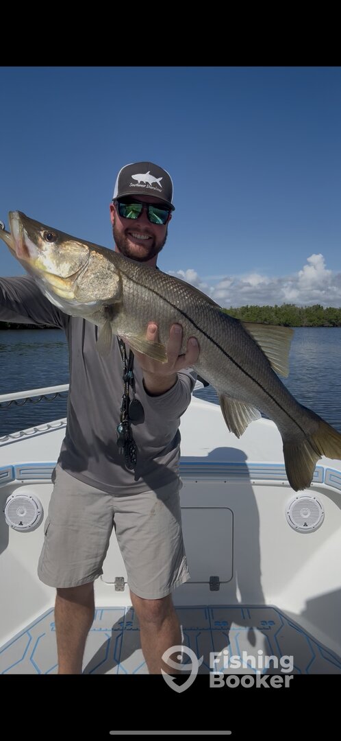 Gasparilla Island Report Photo 0