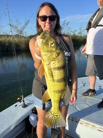 Carolina Report Photo 4