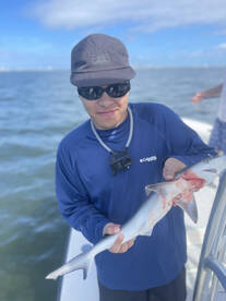 Tampa Report Photo 2