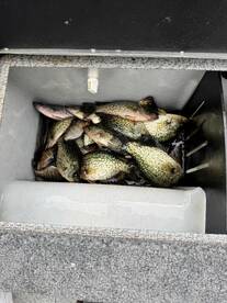 Rhinelander Report Photo 1