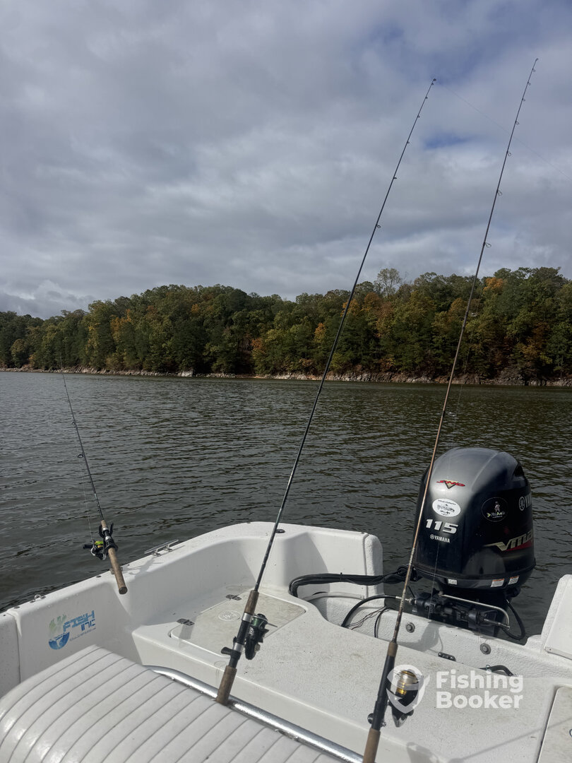 Georgia Report Photo 0