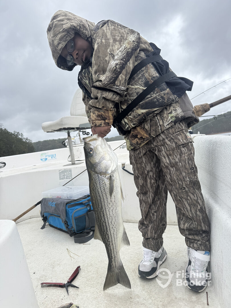 Atlanta Report Photo 0