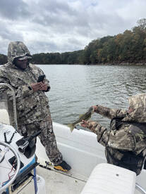 Georgia Report Photo 1