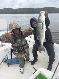 Georgia Report Photo 2