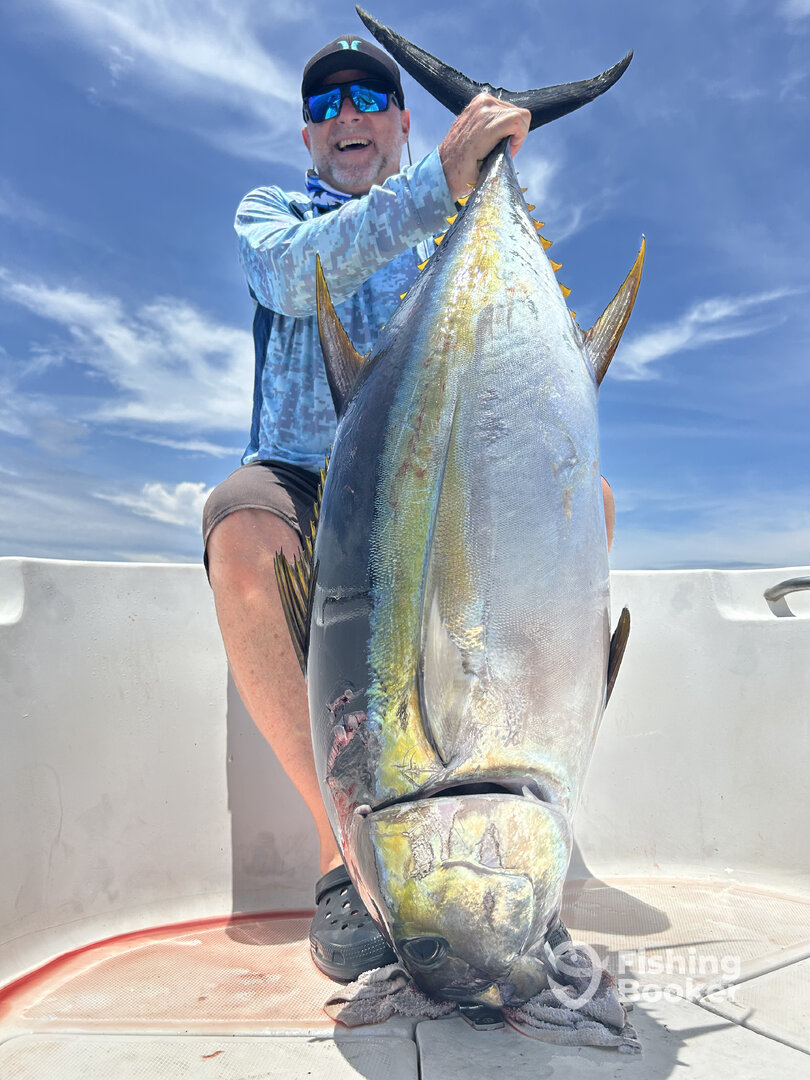 David Report Photo 0