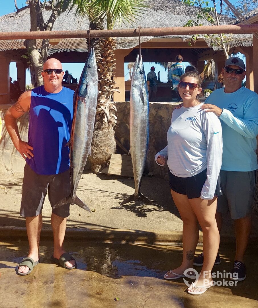 San Jose del Cabo Report Photo 0