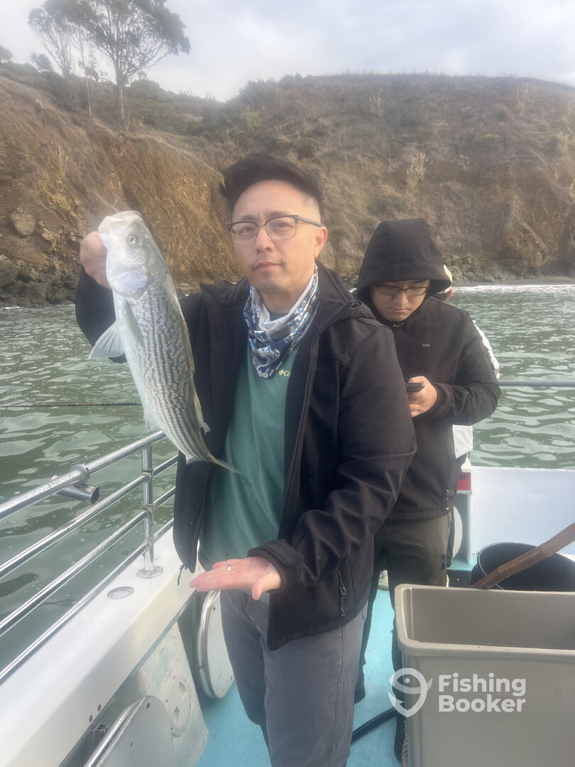 San Francisco Report Photo 0