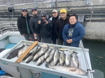 Bay Area Report Photo 2