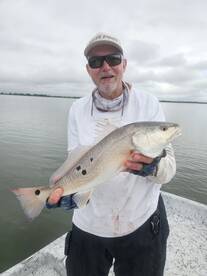 Yankeetown Report Photo 2