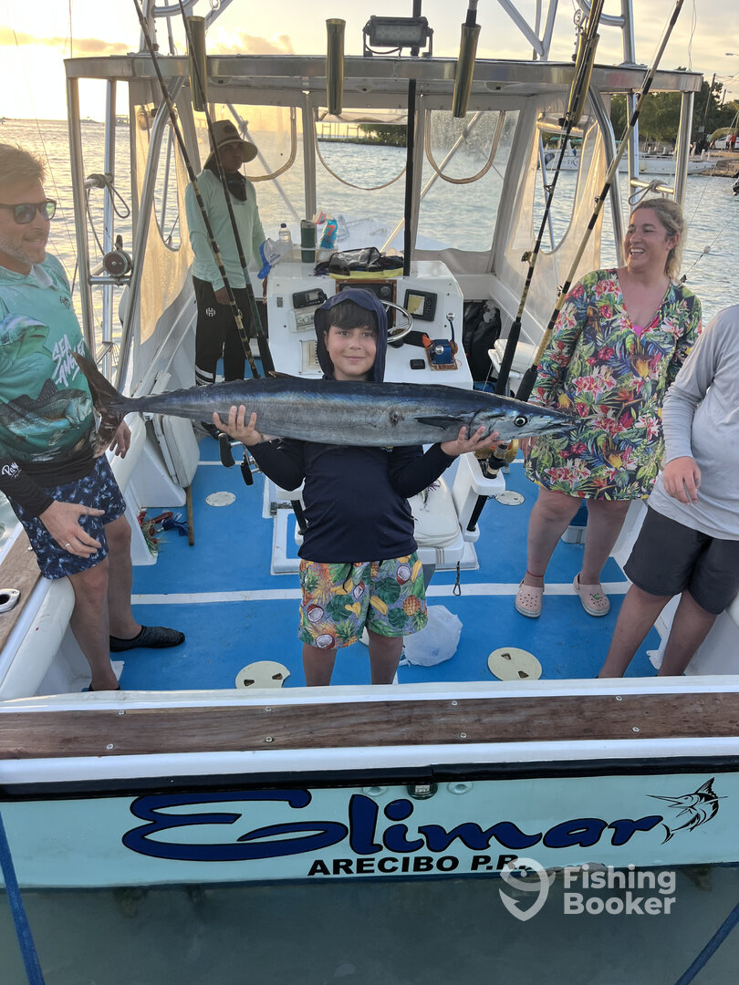 Dominicus Report Photo 0