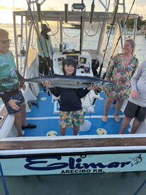 Dominicus Report Photo 2