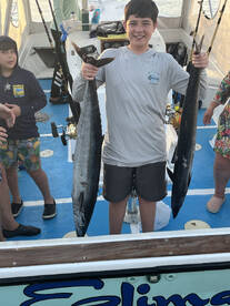 Dominicus Report Photo 2