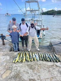 Dominicus Report Photo 1