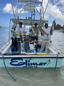 Dominicus Report Photo 3