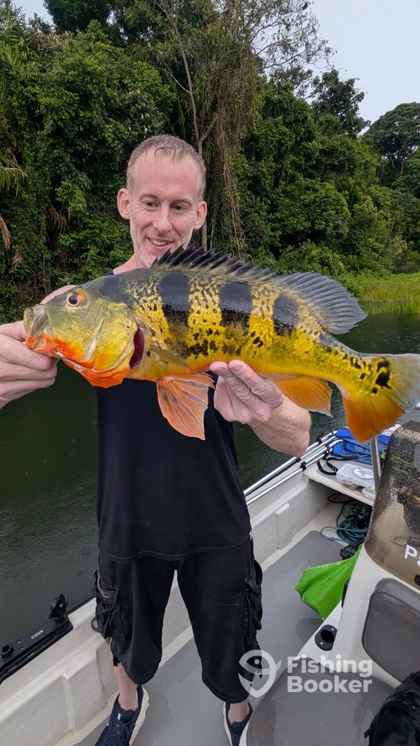 Gamboa Report Photo 0