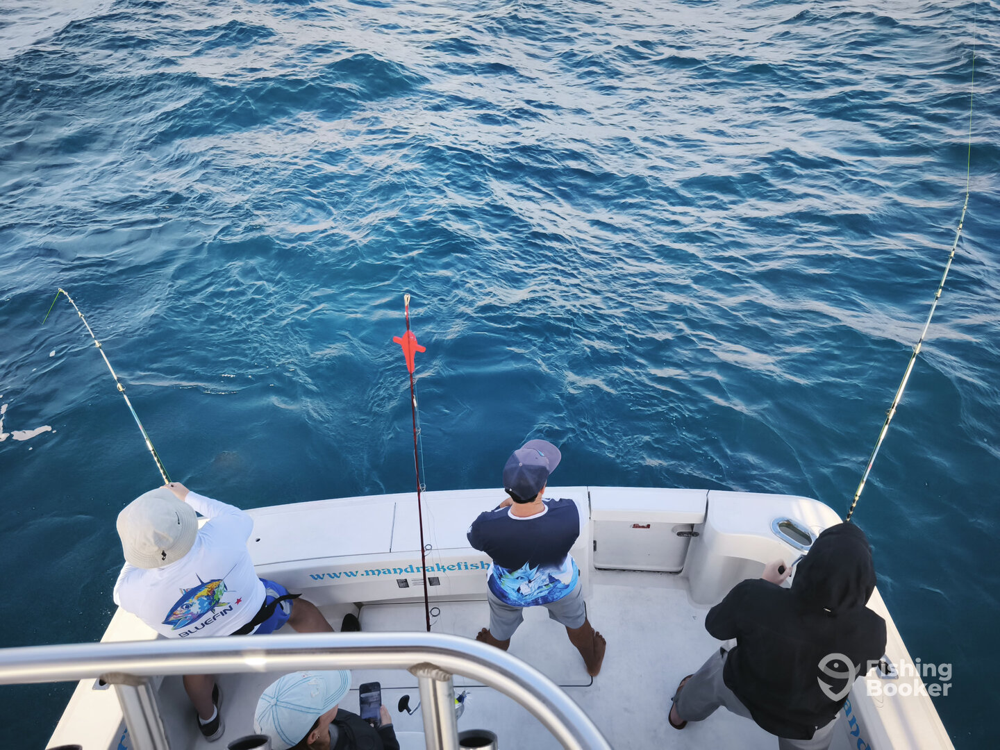 Faro District Report Photo 0