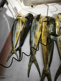 Nice way to wrap up the seasson