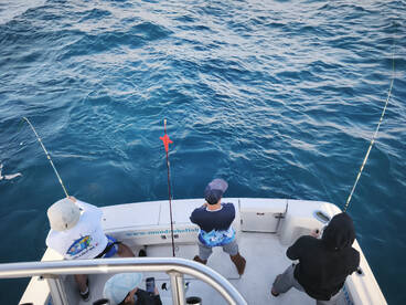 Tavira Report Photo 1