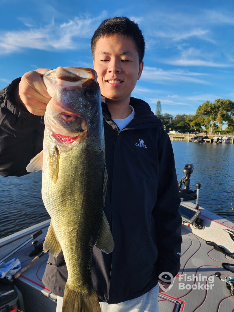 Orlando Report Photo 0