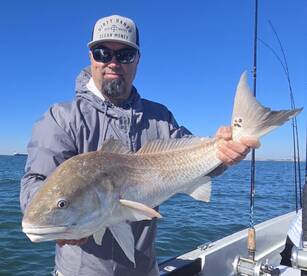 Galveston Report Photo 2