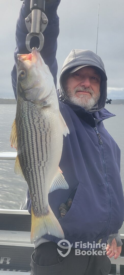 Dadeville Report Photo 0