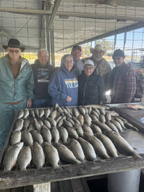 Lake Texoma Report Photo 1