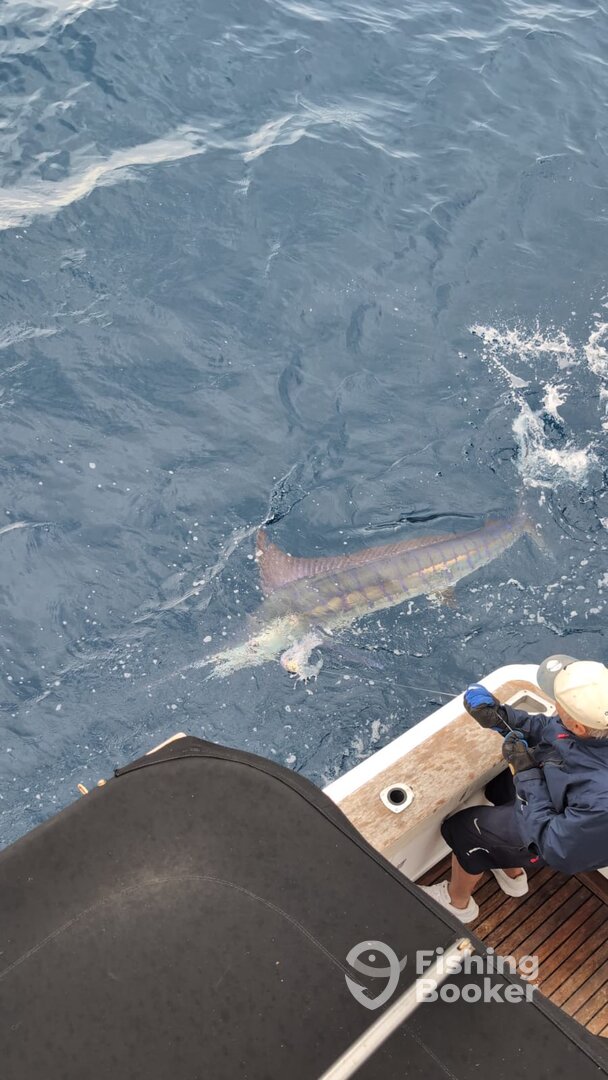 Sydney Report Photo 0