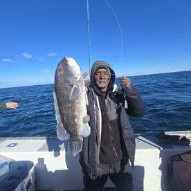 Narragansett Report Photo 1