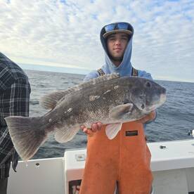 Narragansett Report Photo 2