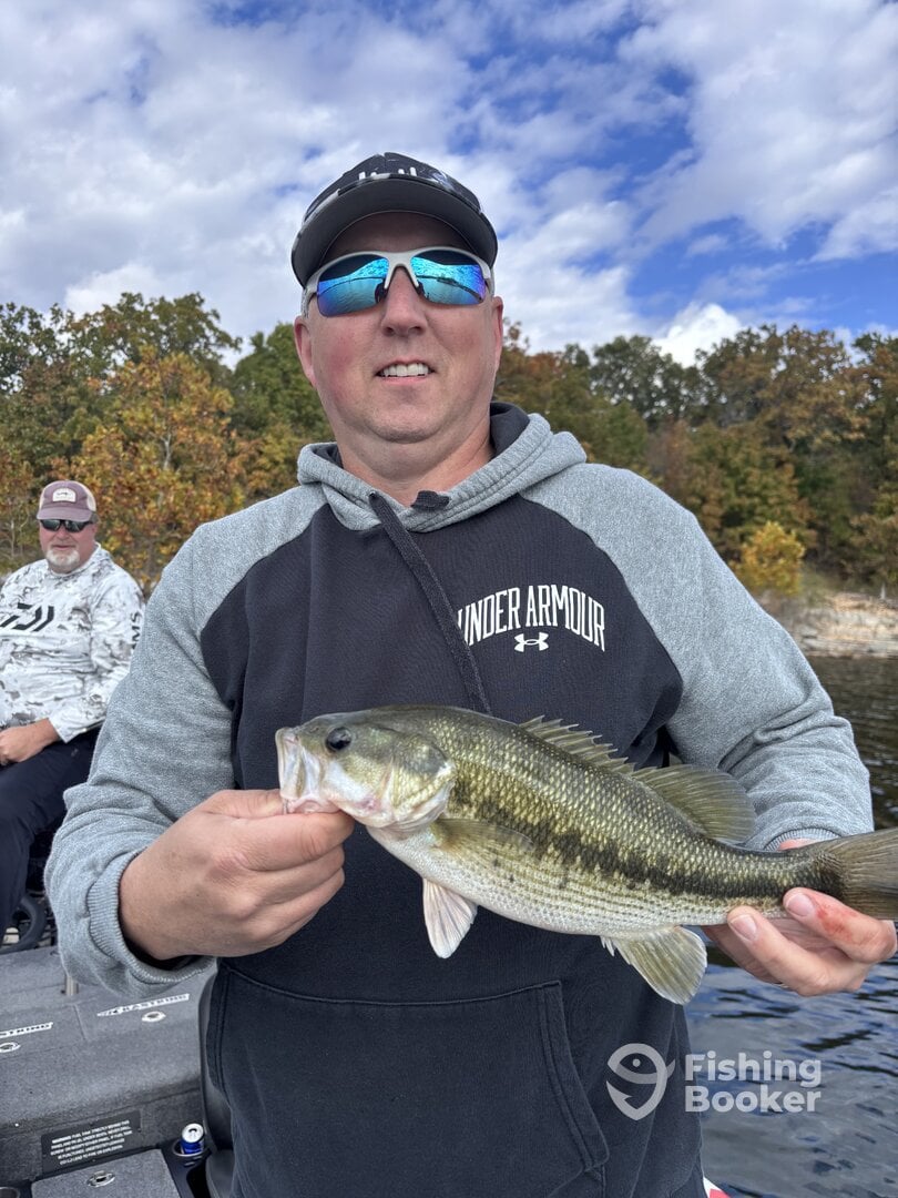 Carroll County Report Photo 0