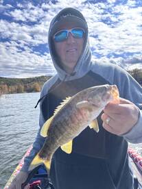 Carroll County Report Photo 2