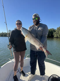 Bull Redfish 