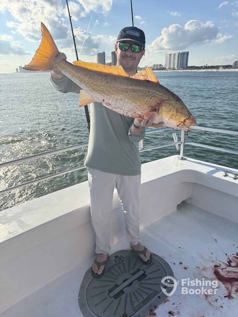 Orange Beach Report Photo 0