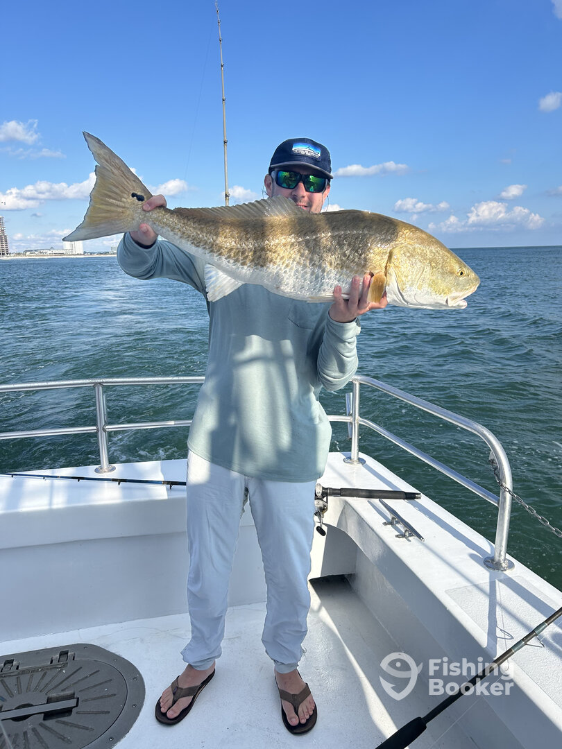 Orange Beach Report Photo 0