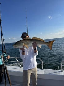 Orange Beach Report Photo 2