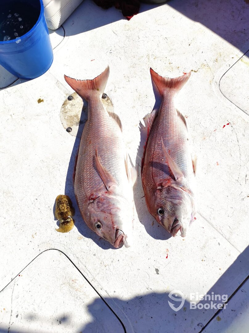 Spain Report Photo 0