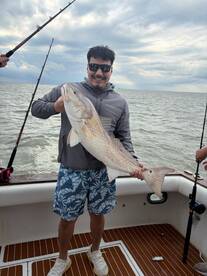 Galveston Report Photo 1